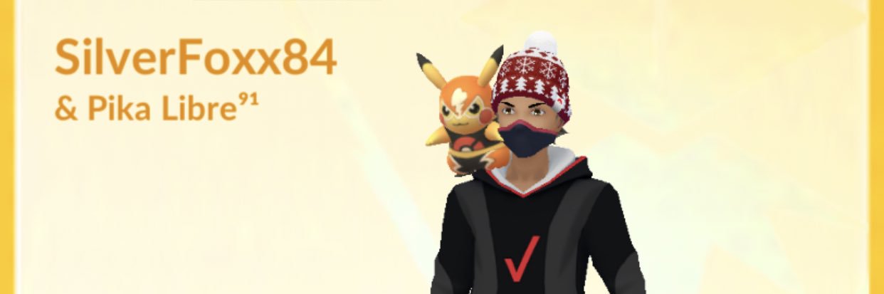 Silverfox banner