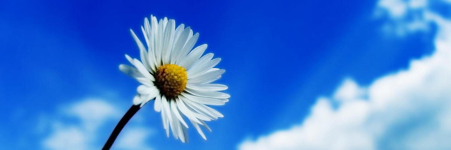 LisaThorn4's profile banner image