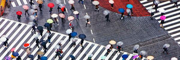 STICERD_LSE Profile Banner