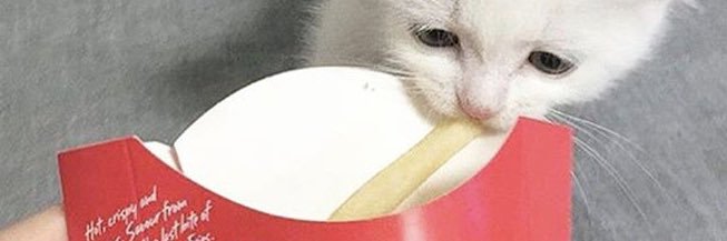 Backstab07's profile banner image