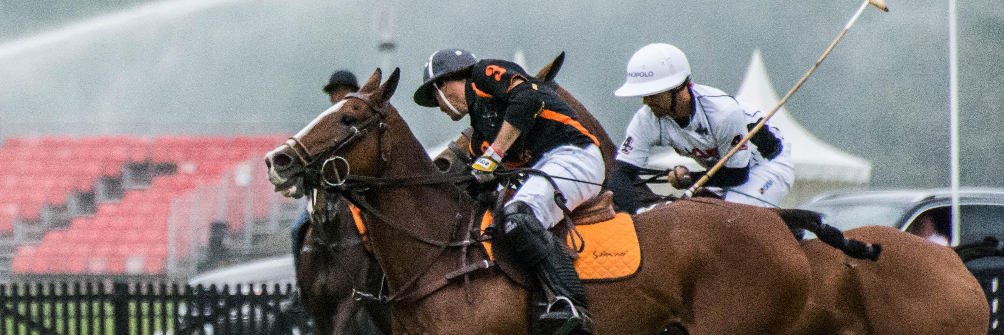 Sifanipolo's profile banner image