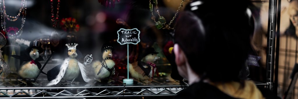 thesleepymuse's profile banner image