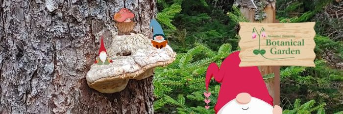 Memorial University Botanical Garden banner