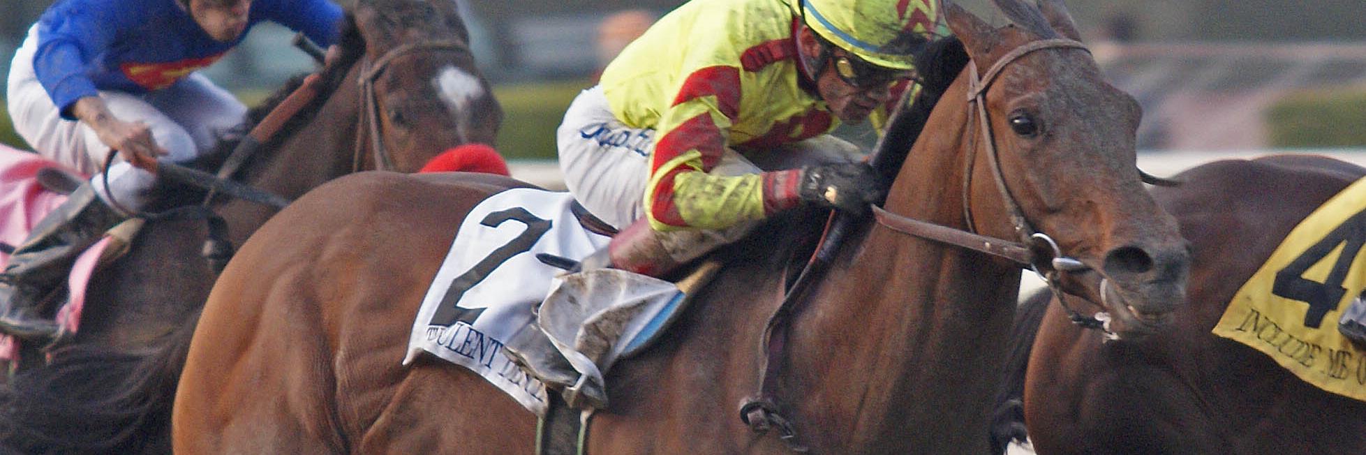 zthoroughbred's profile banner image