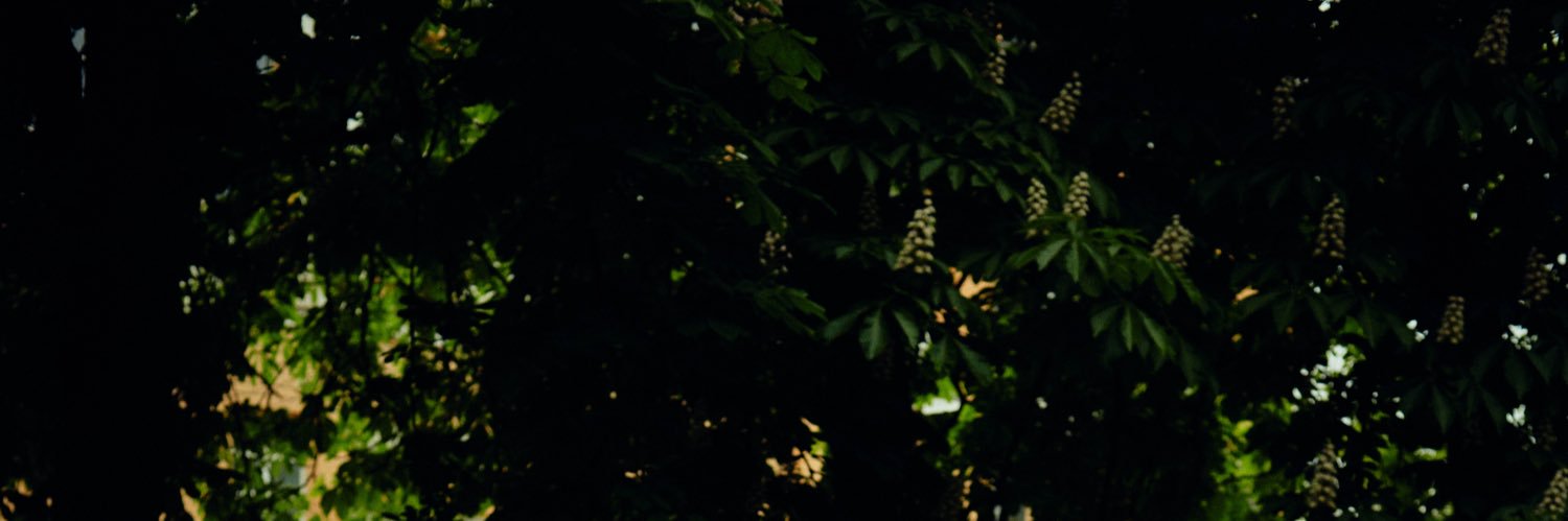 MadEastAlice's profile banner image