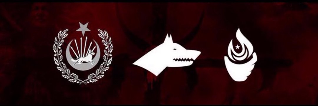trajikkilit's profile banner image