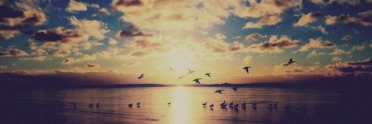 HandeSayris's profile banner image