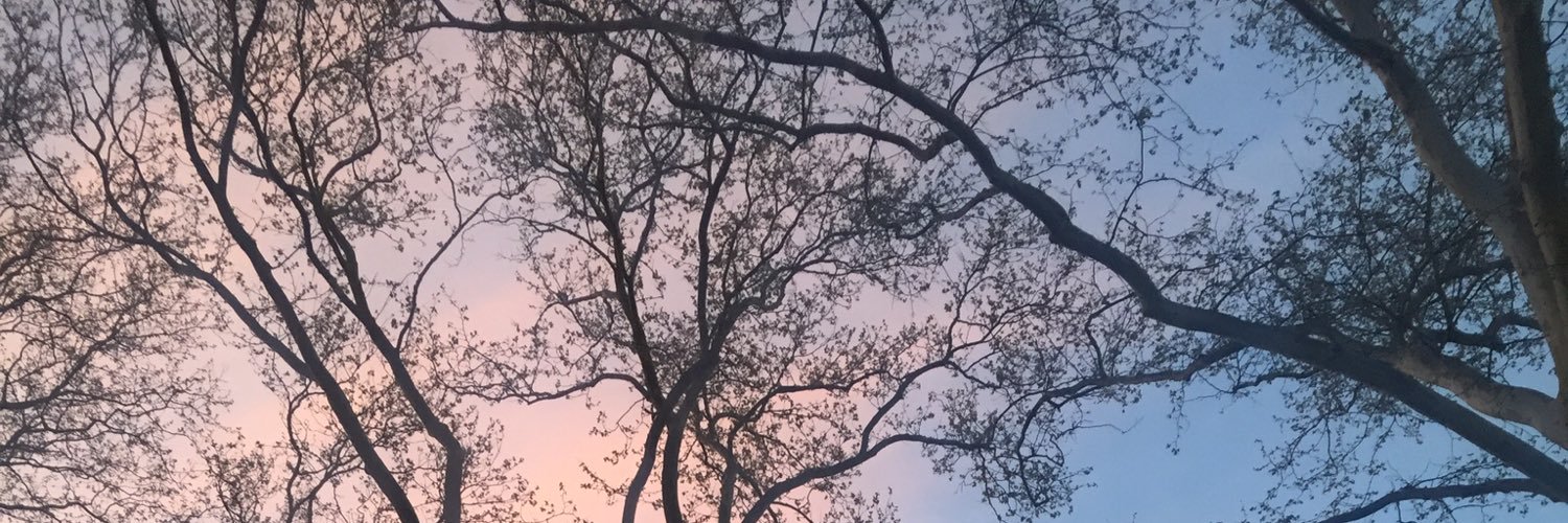 deeergirl's profile banner image