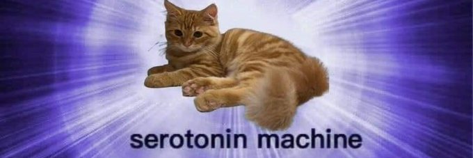 p banner