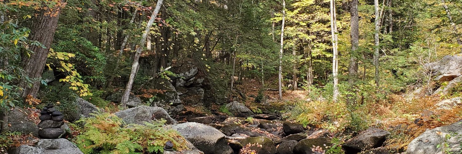 cleverclover21's profile banner image