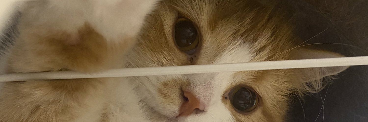 憂（うい） banner