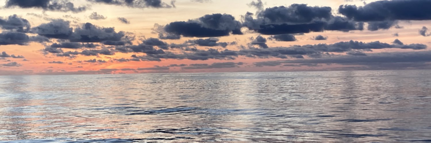 Dr Susan Evans banner