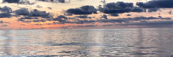 SusanKEvans Profile Banner