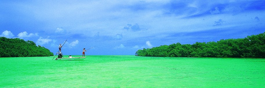 Coconut Cay Resort banner