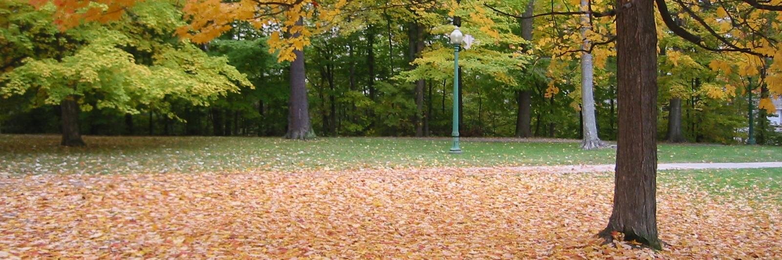 KenyonIR's profile banner image