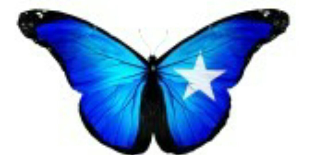 somali_vines's profile banner image