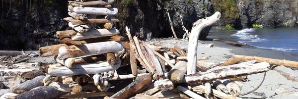 dthosbein Profile Banner