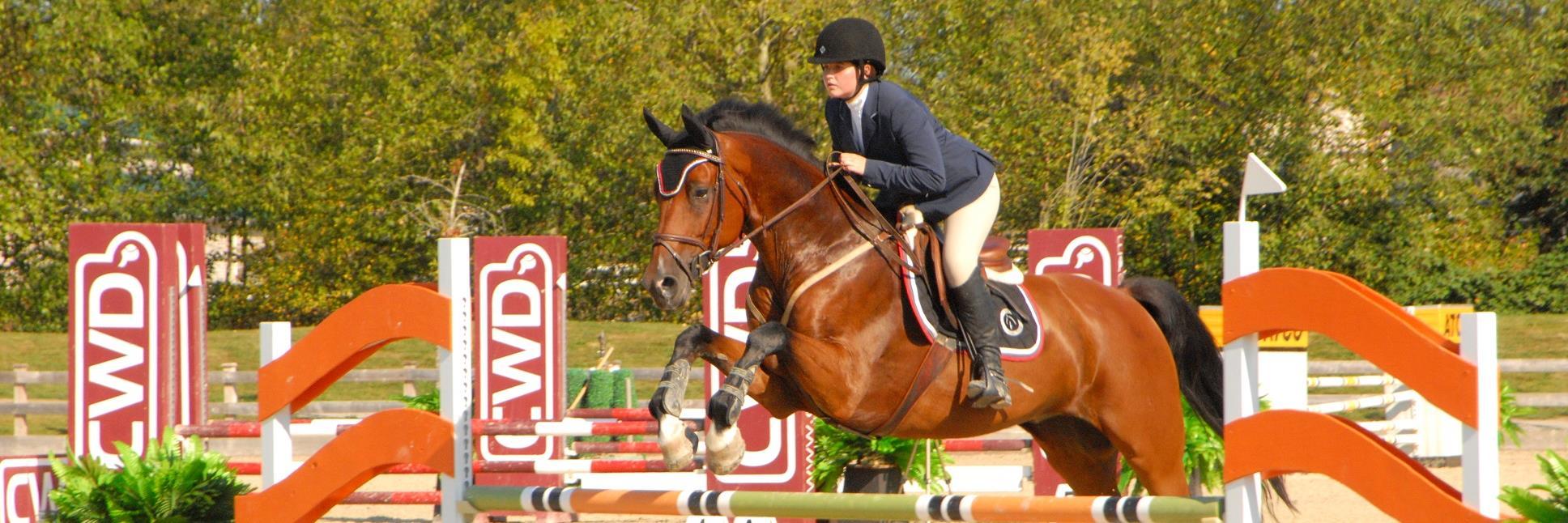 equestrian_M's profile banner image