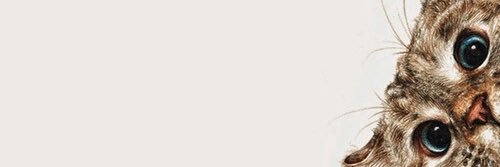 EzzaSarbini's profile banner image
