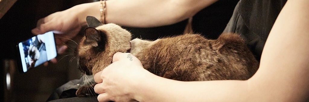 DanyJang86's profile banner image