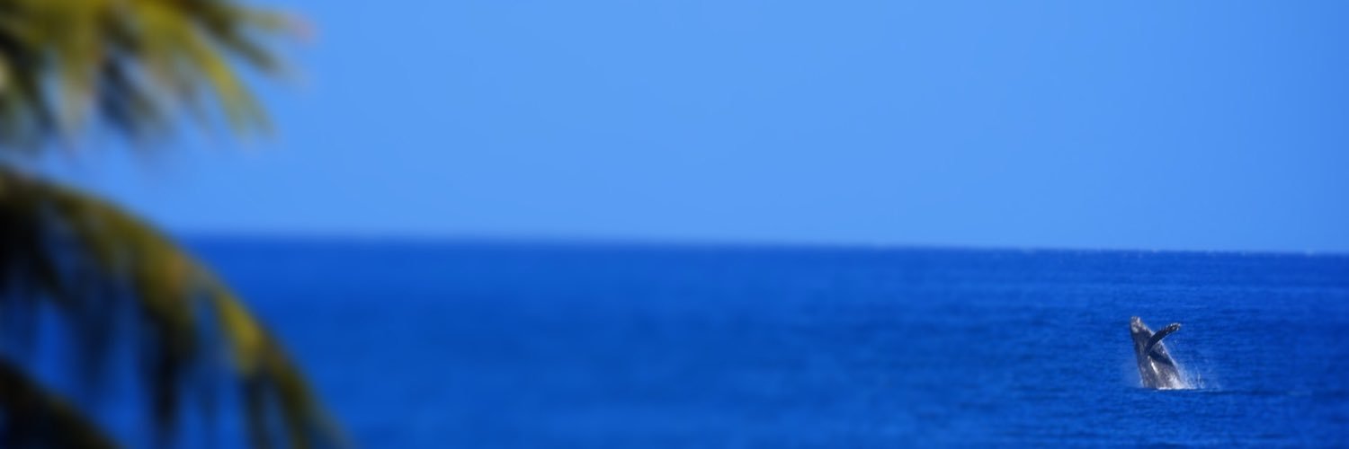 iATEitMYway's profile banner image