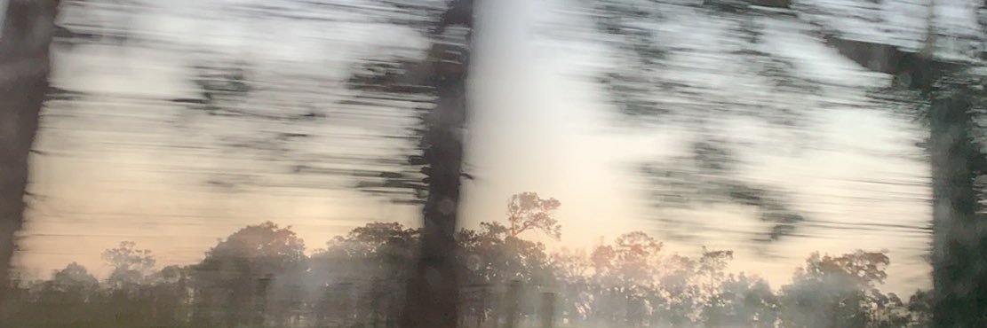 ellenpalandri's profile banner image