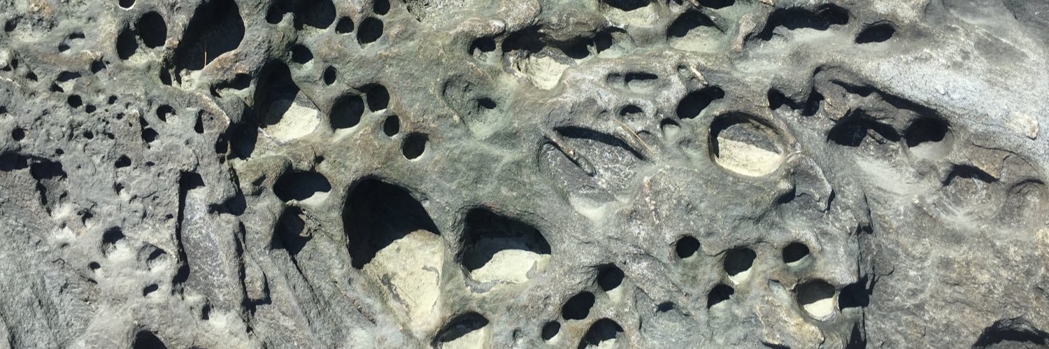 Jaw Strodumus banner