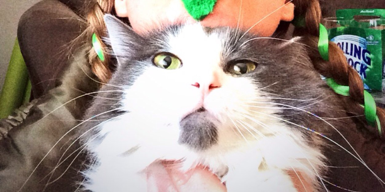 FiWithTheGoatee's profile banner image