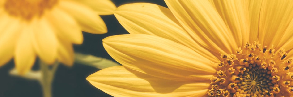 klizjenmc's profile banner image