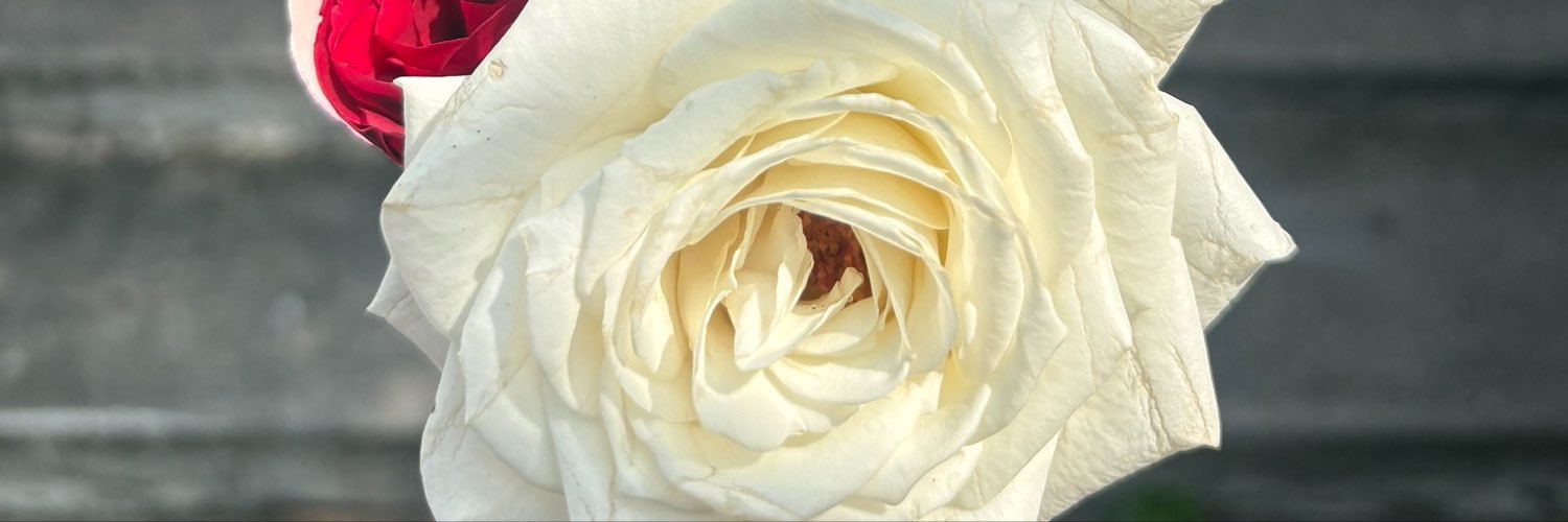 honoriocrf_'s profile banner image