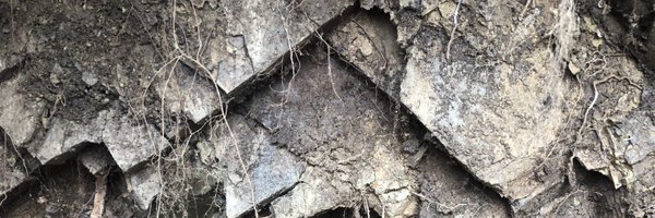 joanafb Profile Banner