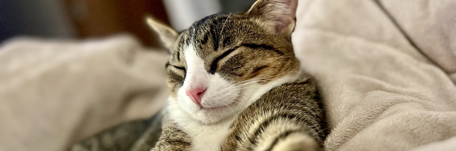 natttcoe's profile banner image