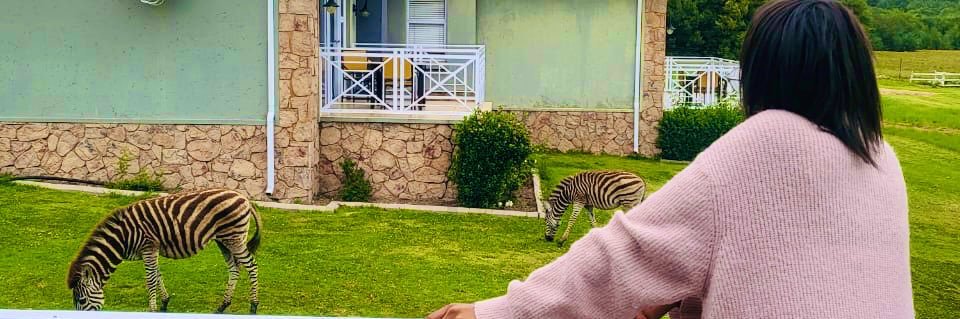 Moshopyadi a’Hlabirwa a’Dimo💜 banner