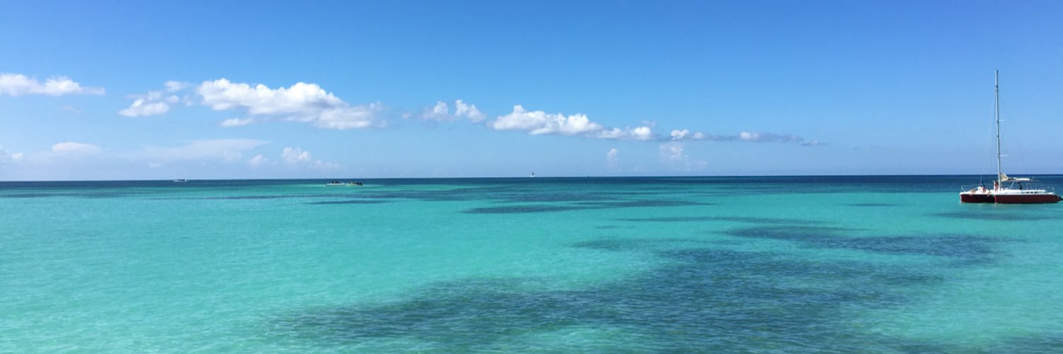 soulejm's profile banner image