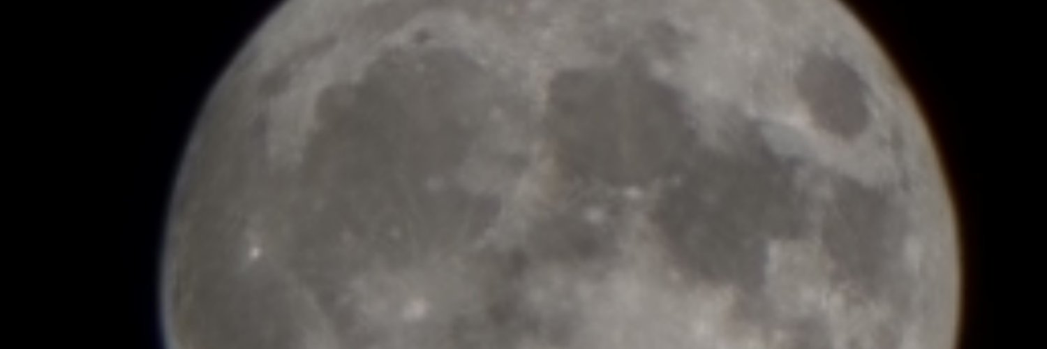 shanebutton's profile banner image