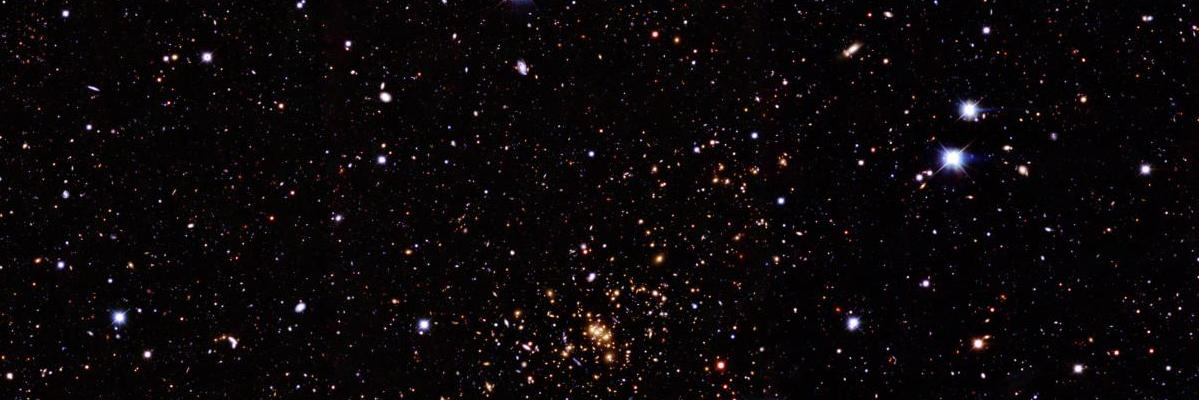 maibasyooni's profile banner image
