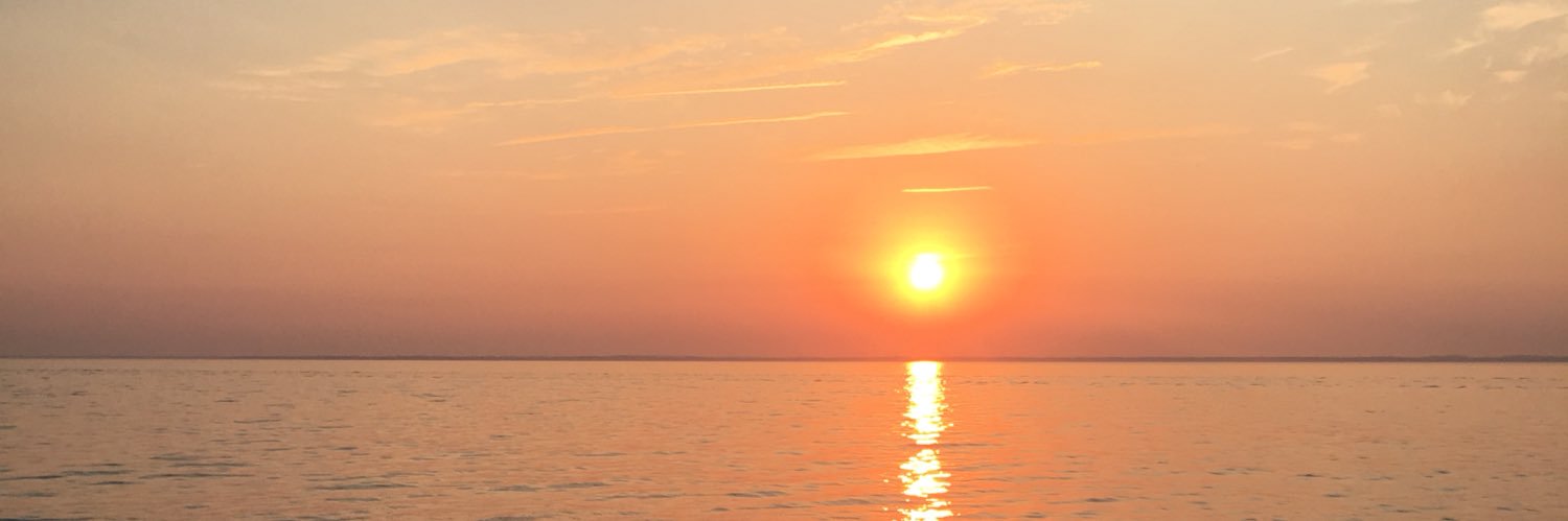 timmy__moore's profile banner image