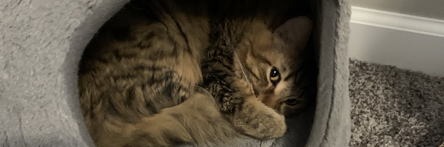 zakhoss7's profile banner image