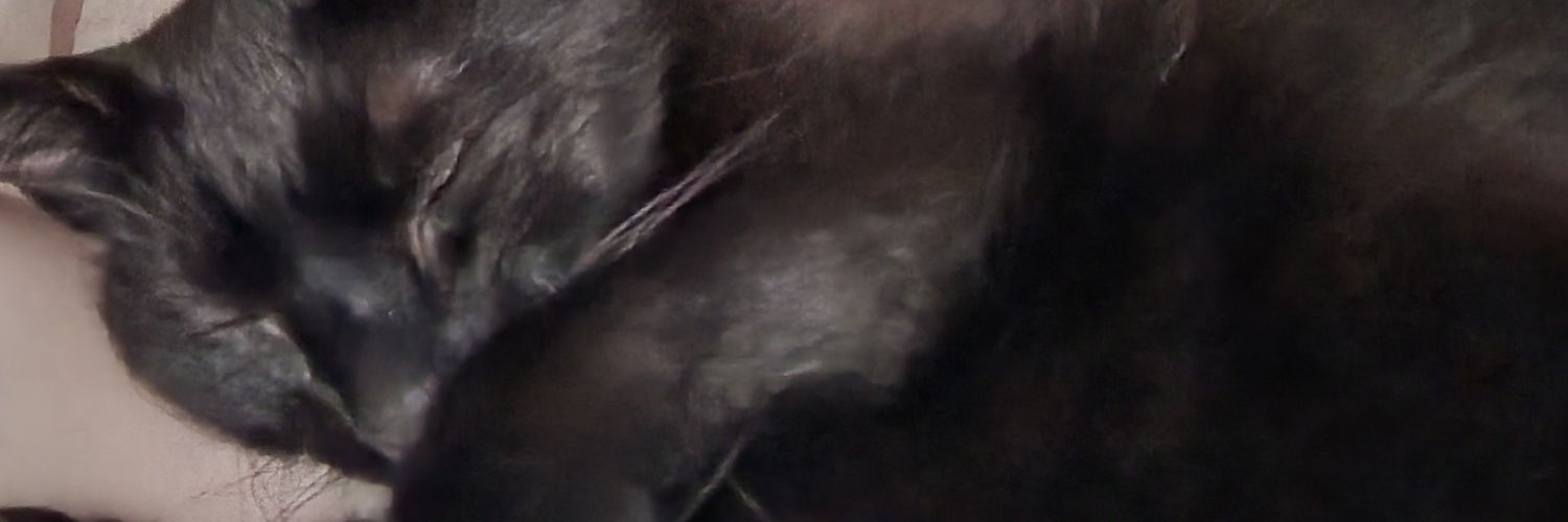 PaddyPi's profile banner image