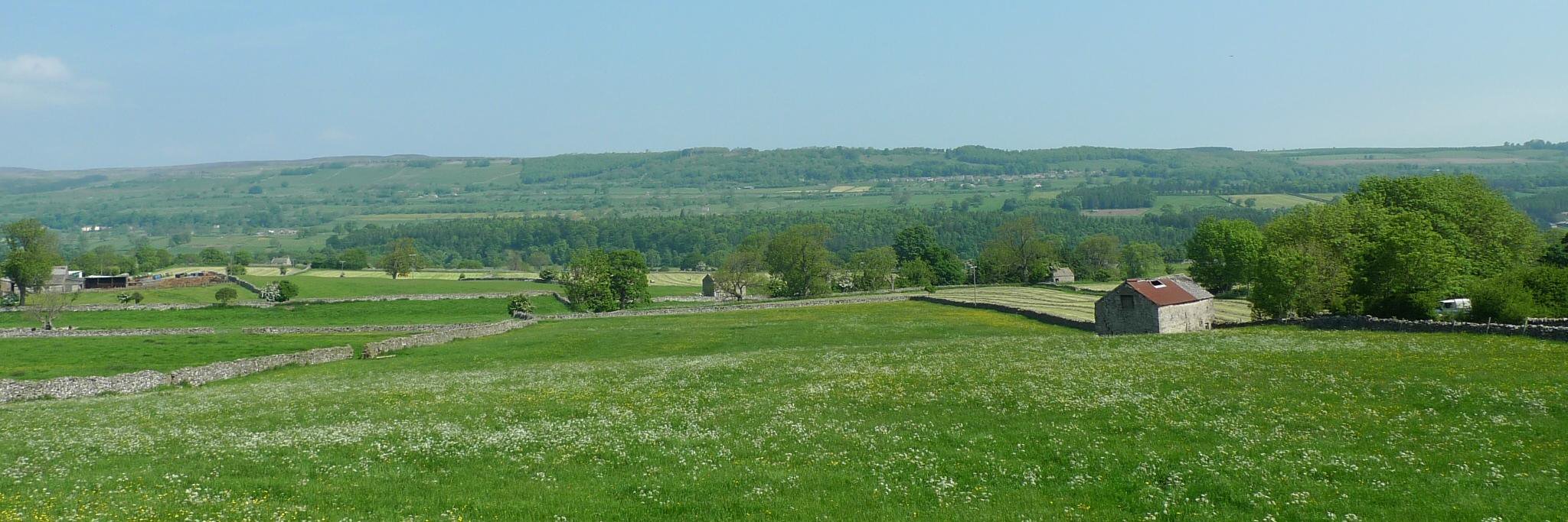 Leyburn Events banner