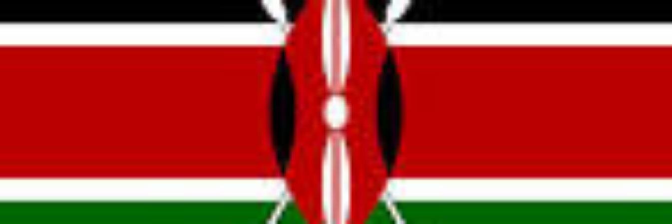 Public Service Kenya banner
