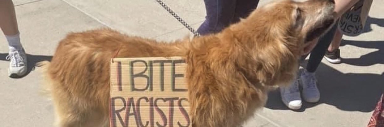 JadeeeBrownnn's profile banner image