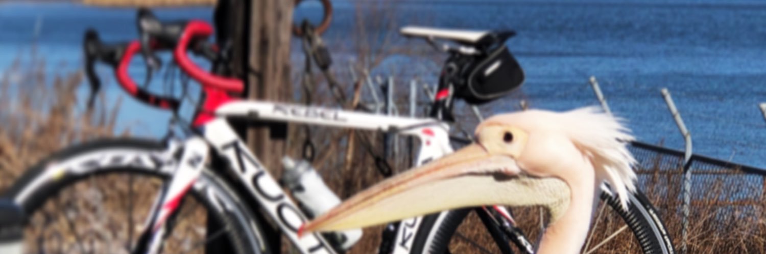 kaburagi2011's profile banner image