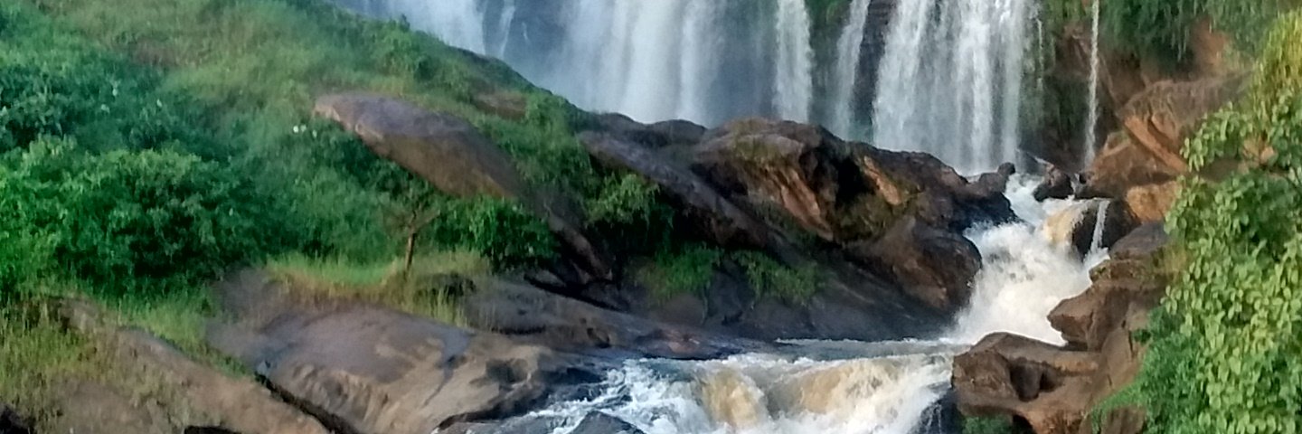jadsonilha's profile banner image