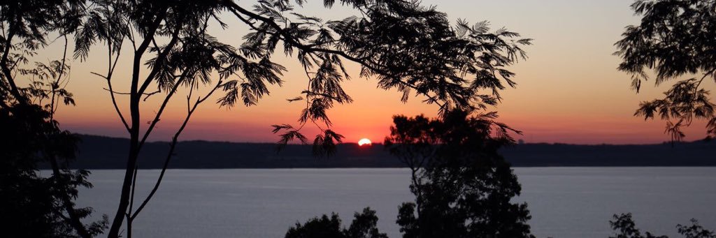 veromarkitts's profile banner image