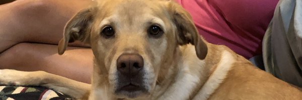 mehaegan Profile Banner