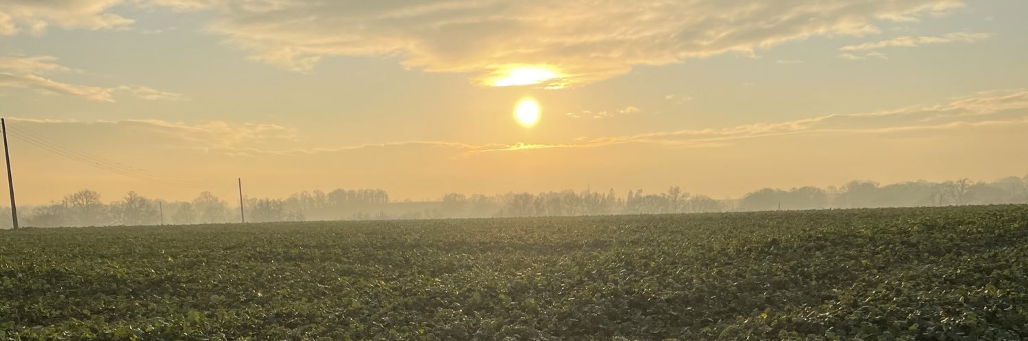 TTiennou's profile banner image