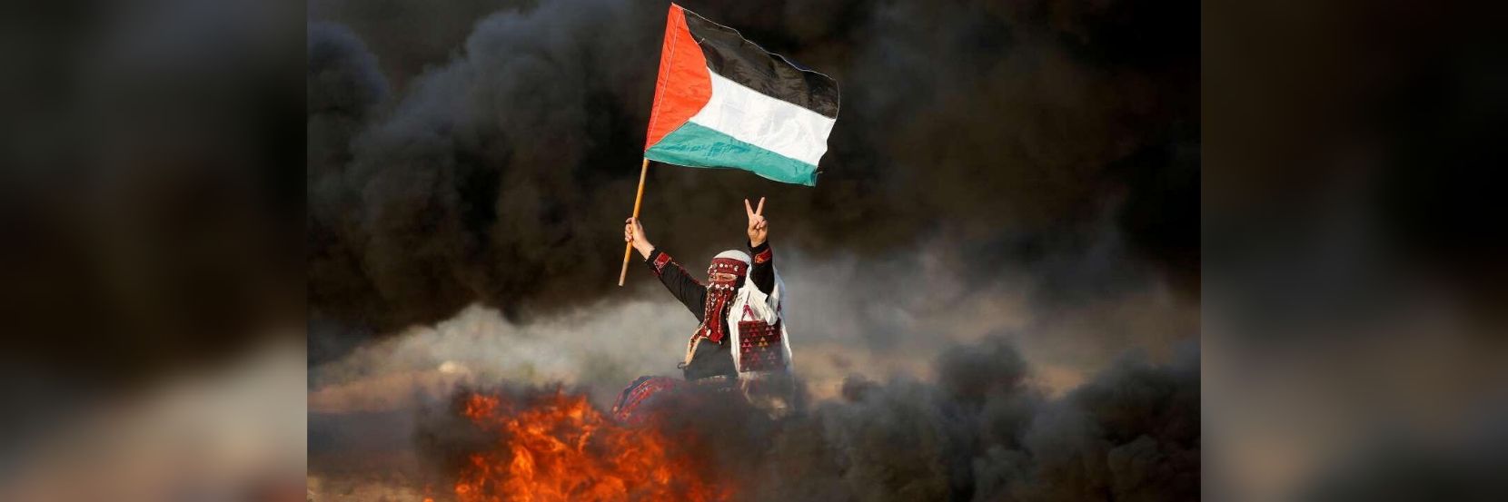 Masterfrog 🇵🇸 banner