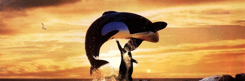 NelsonWittwer's profile banner image