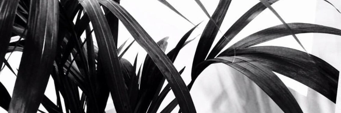 SarahLWedding's profile banner image